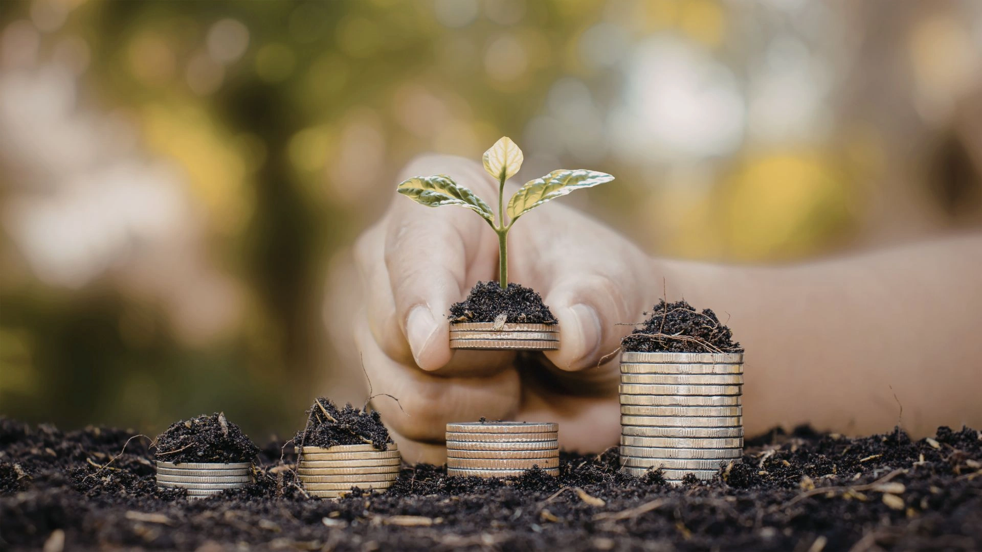 Tipos de fondos de inversión